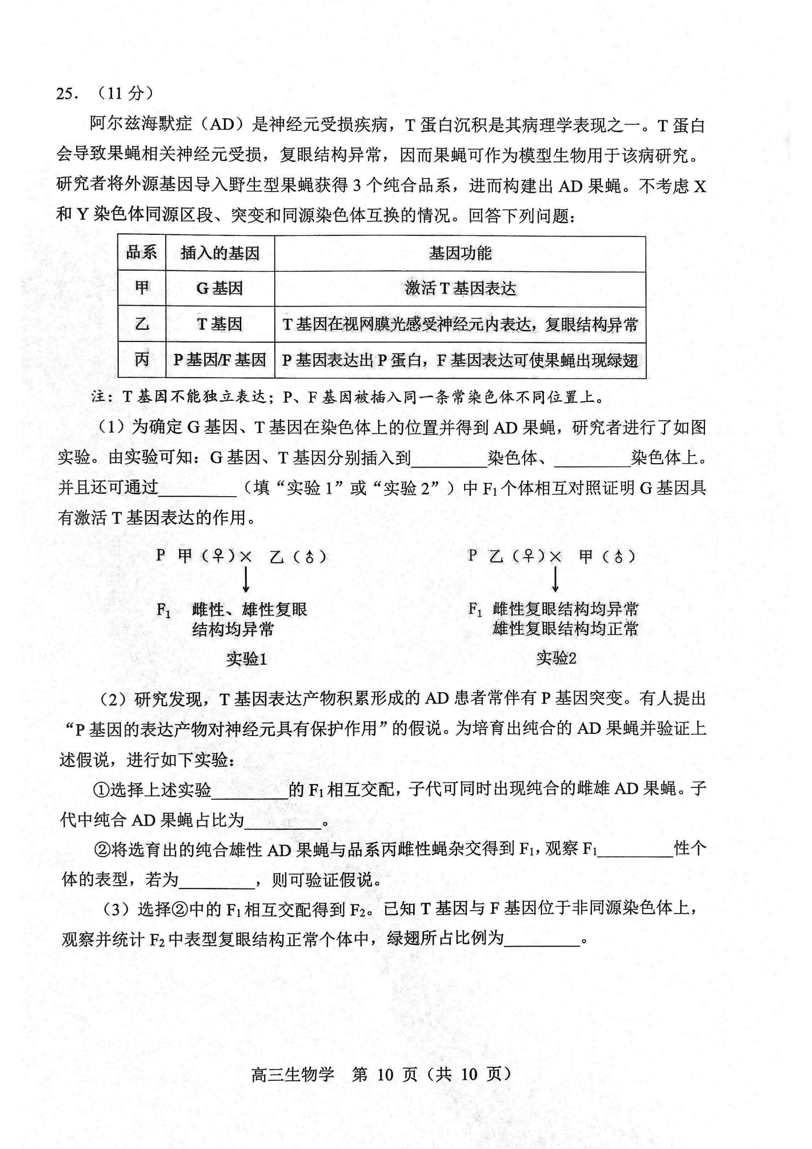 生物试题2025年东北三省四城市联考暨沈阳市高三质量监测（二）_10.jpg